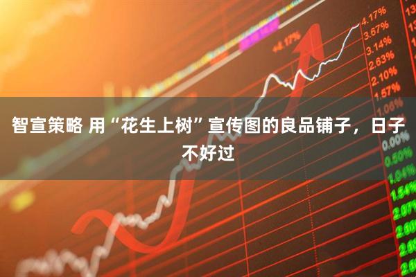 智宣策略 用“花生上树”宣传图的良品铺子，日子不好过