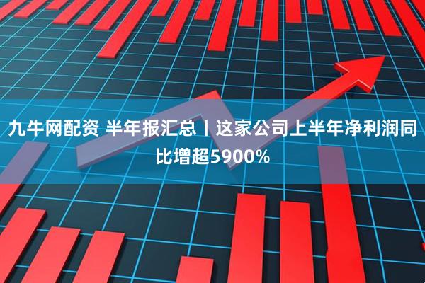 九牛网配资 半年报汇总丨这家公司上半年净利润同比增超5900%